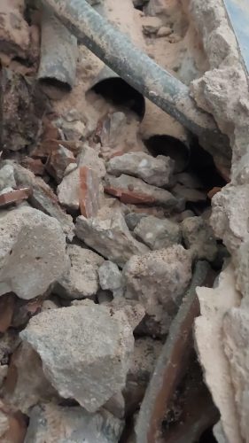 WhatsApp Image 2025-11-03 at 12.01.17